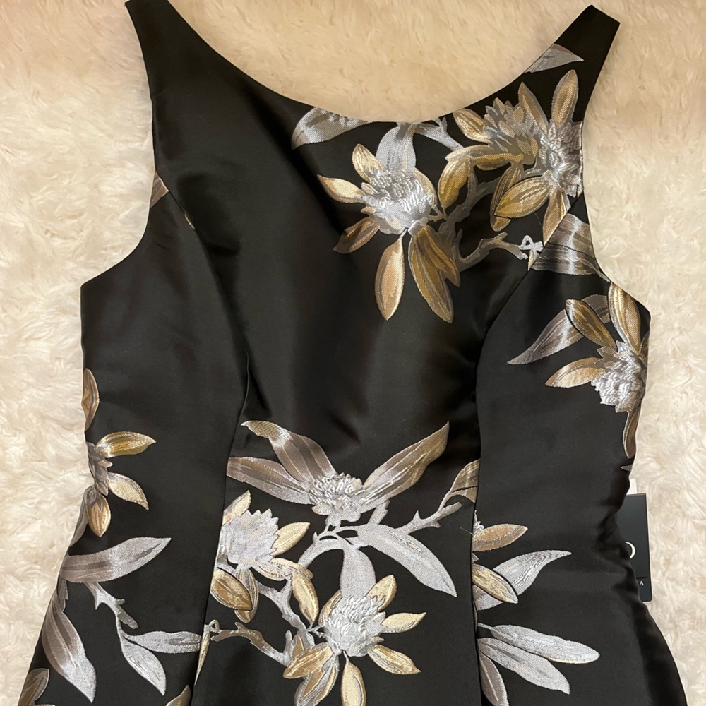 Adrianna Papell NWT Dress!